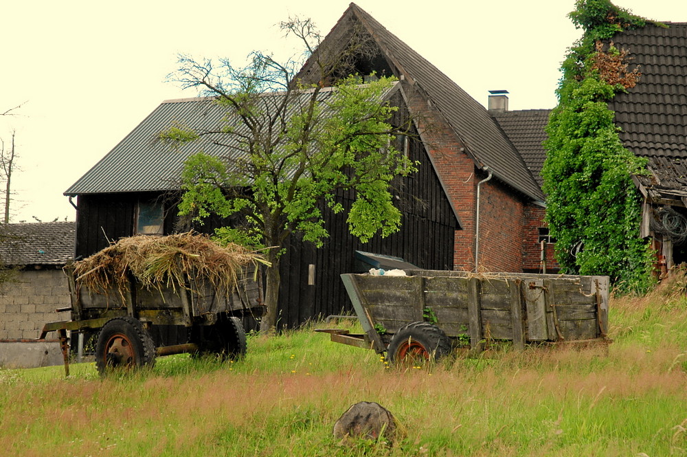 Augenweide