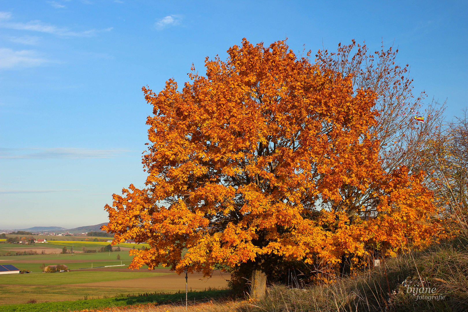 Augenweide