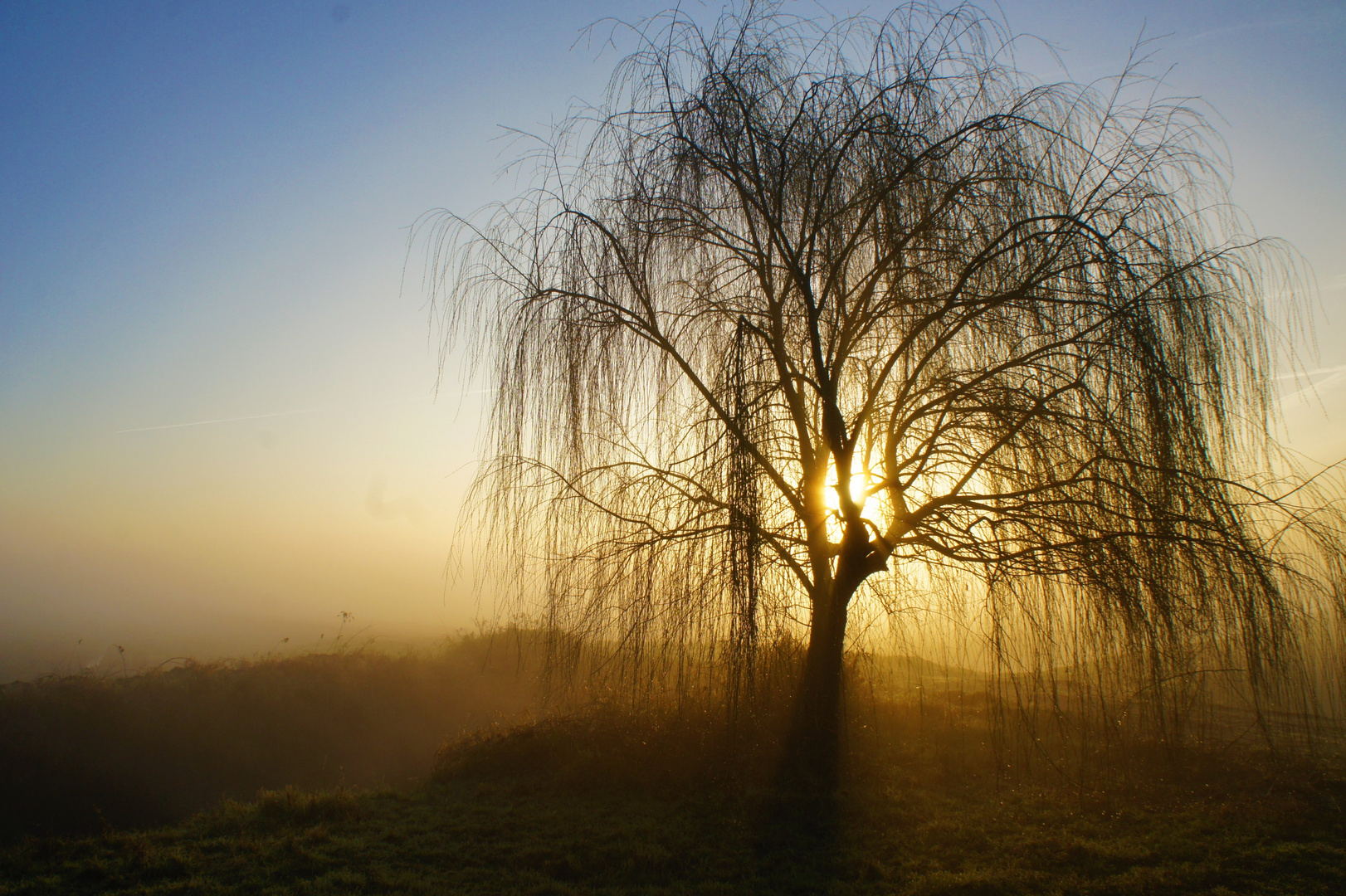 Augenweide Foto &amp; Bild | italy, world, italien Bilder auf fotocommunity