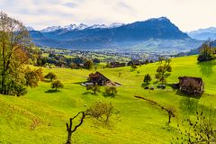 Augenweide grüne Weidenlandschaft