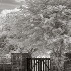 Aughnanure Castle Back Door