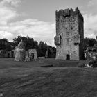 Aughnanure Castle, Co. Galway