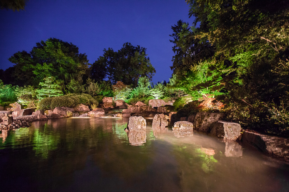 Augsburg Botanischer Garten Illumination 1 Foto & Bild deutschland