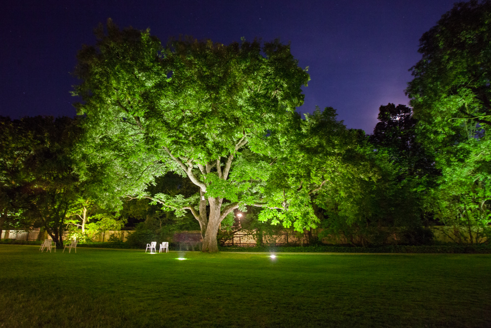 Augsburg Botanischer Garten Illumination 3