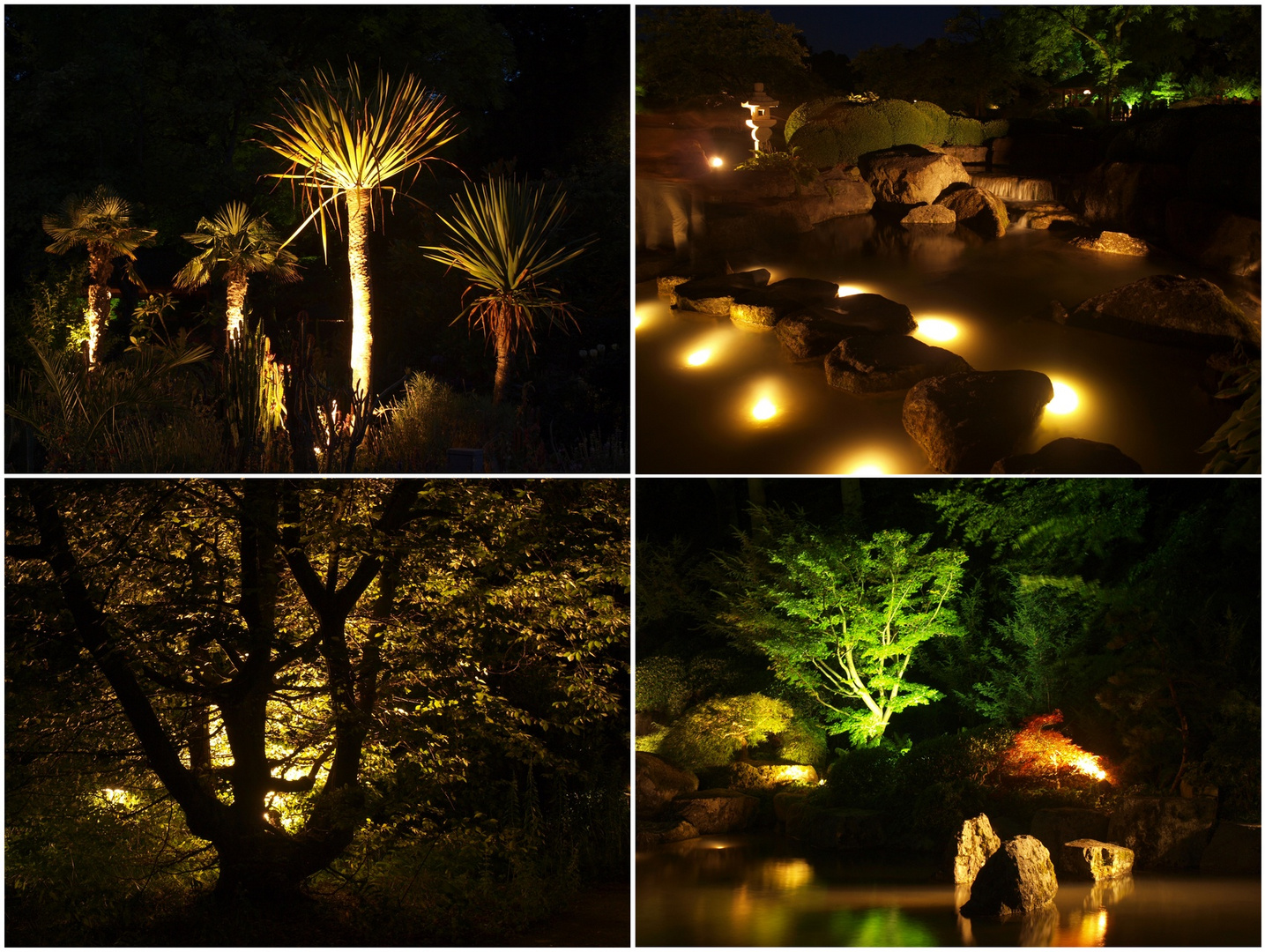 Augsburger Botanischer Garten in lauer Sommernacht Foto & Bild