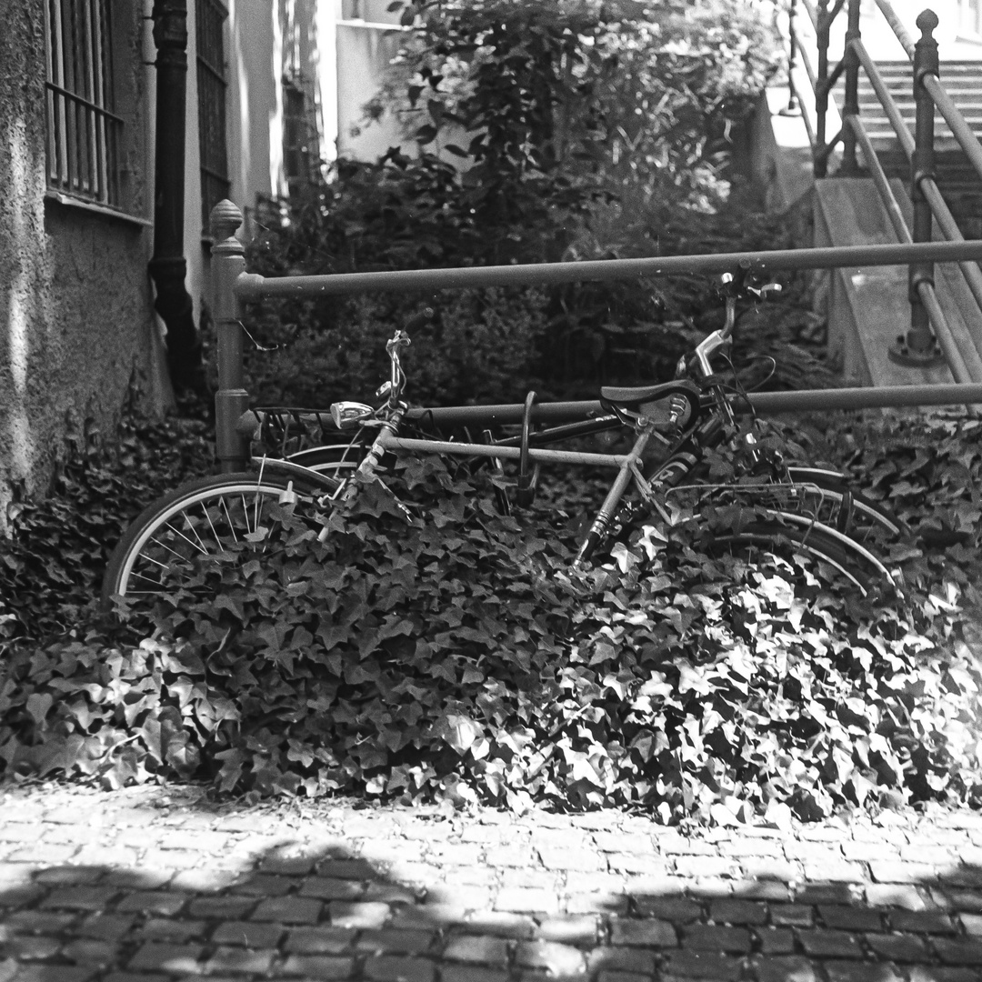 Augsburger Fahrad