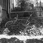 Augsburger Fahrad