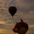 Augsburger Herbstwettfahrt für Heißluftballone II