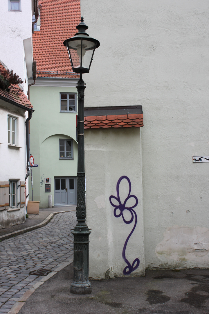 Augsburger Stadtblume