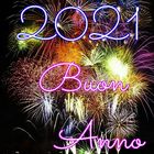 Auguri di Buon anno 2021