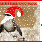 Auguri di Buone Feste