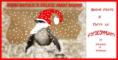 Auguri di Buone Feste