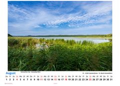 August 2024 (1)
