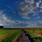 August am Niederrhein