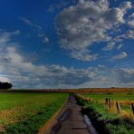 August am Niederrhein