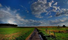 August am Niederrhein