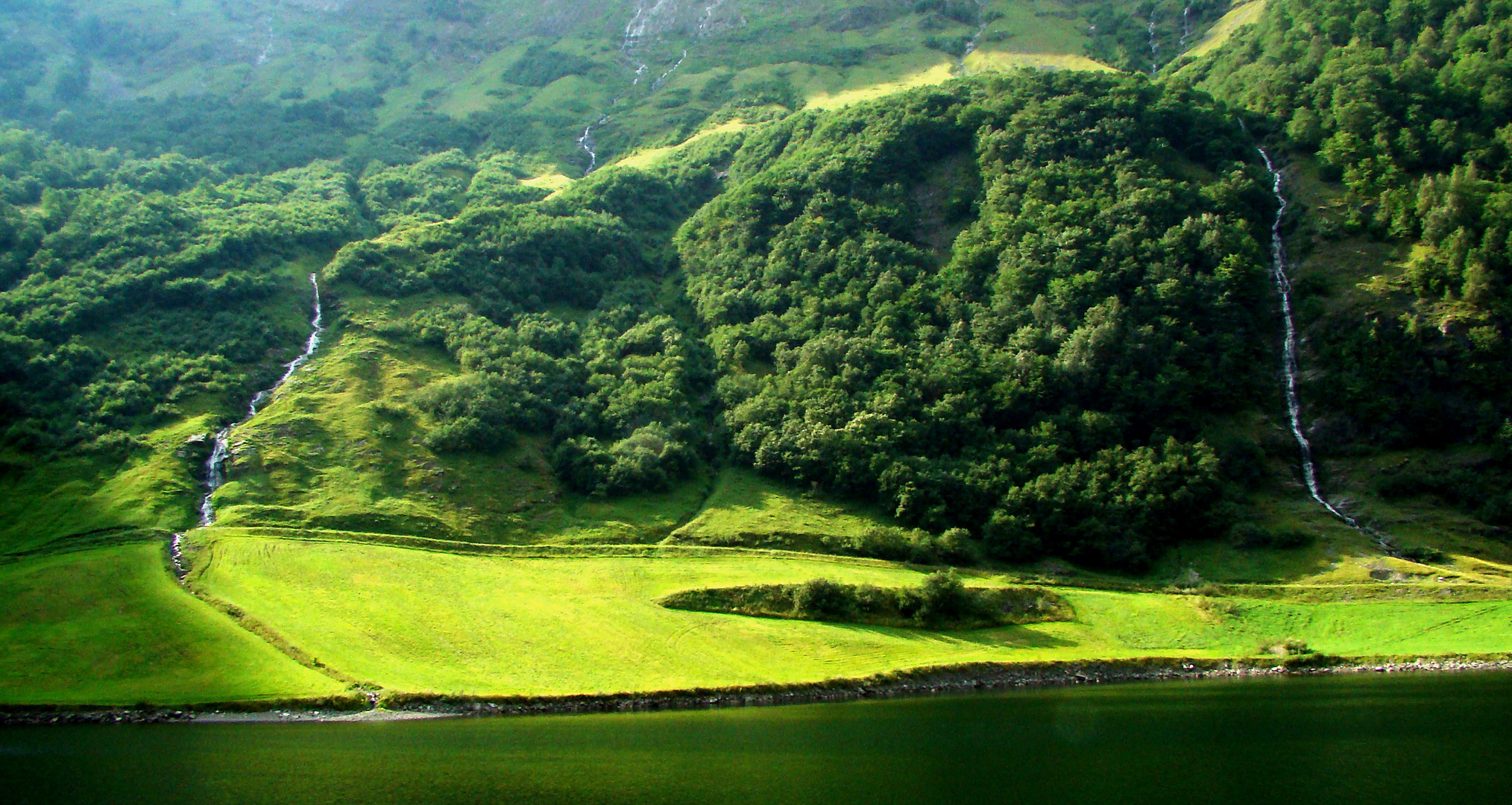 August am Sognefjord