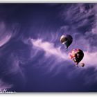August Balloons