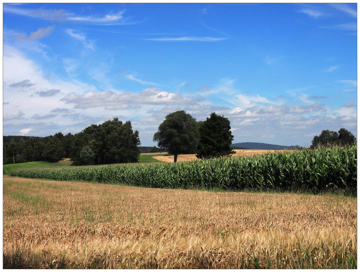 August im Fichtelgebirge