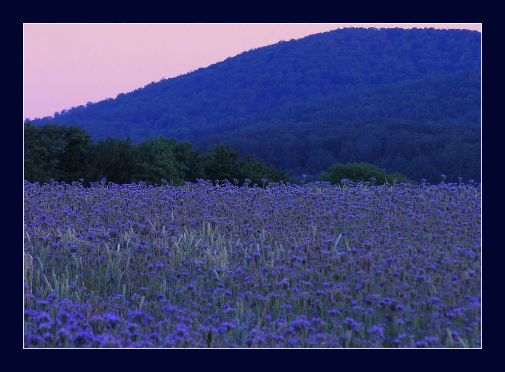 "August" im WESER BERGLAND- KALENDER 2012