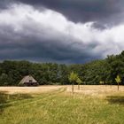 August in der Lüneburger Heide