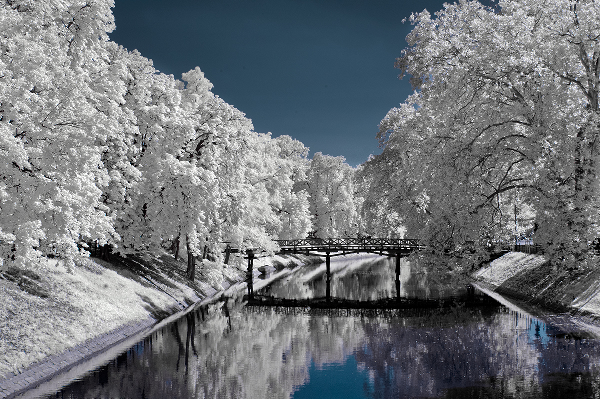 ...August in white...