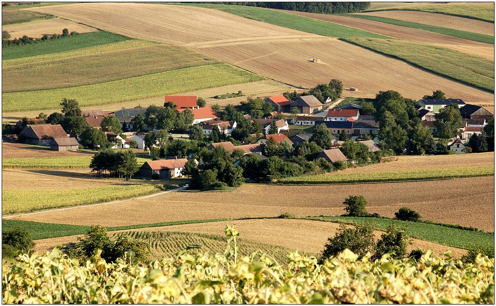 August - Nursch - Blick