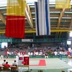 August Schärttner Halle in Hanau bei der JuJutsu EM 2003