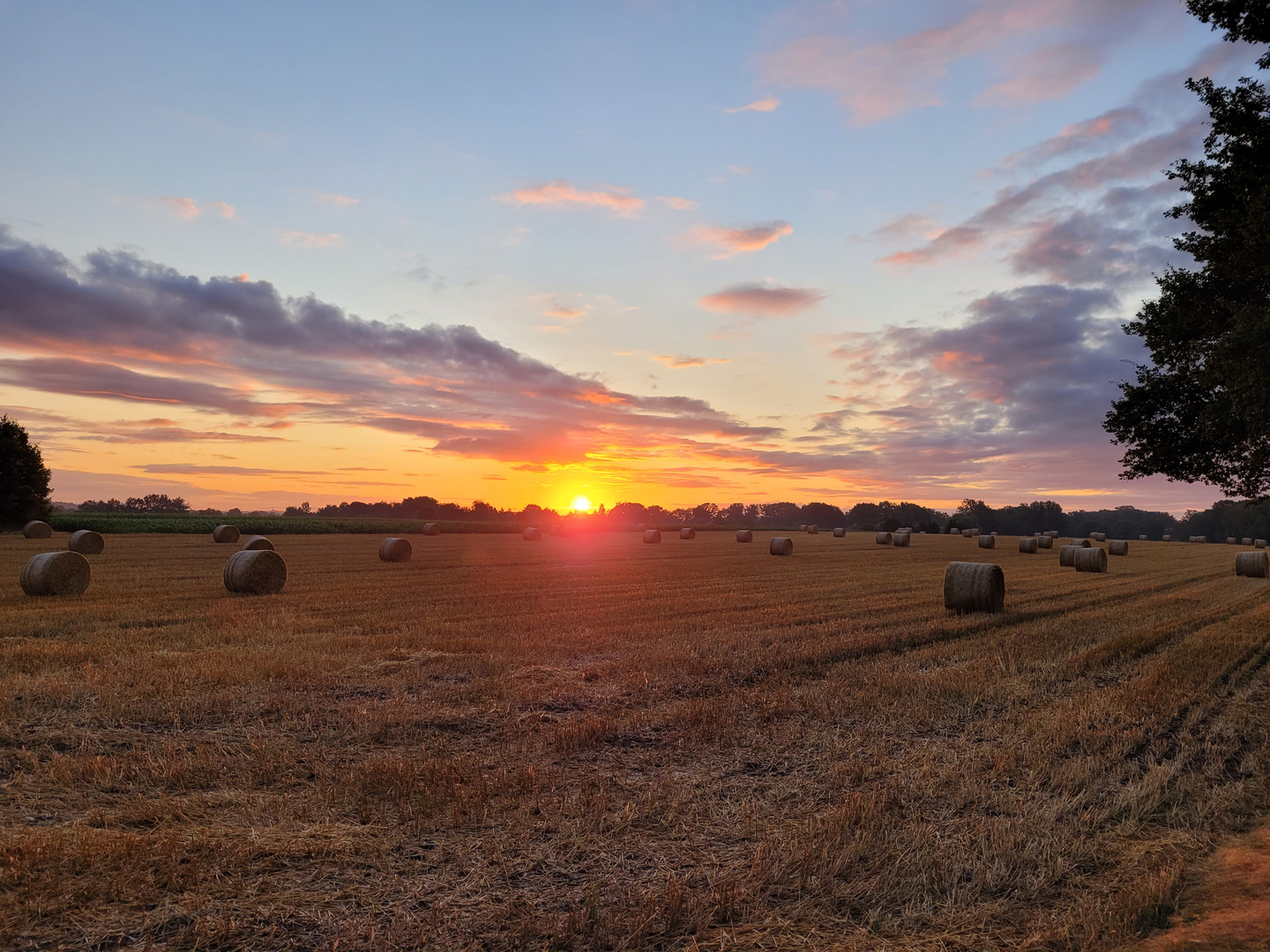 August Sunrise 