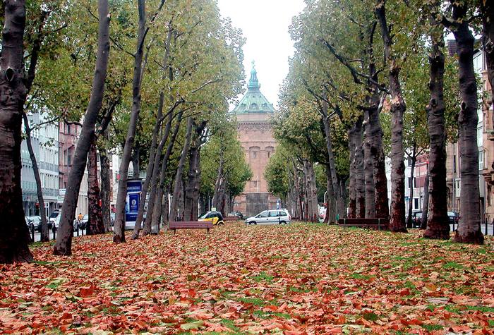 augusta-anlage im herbst