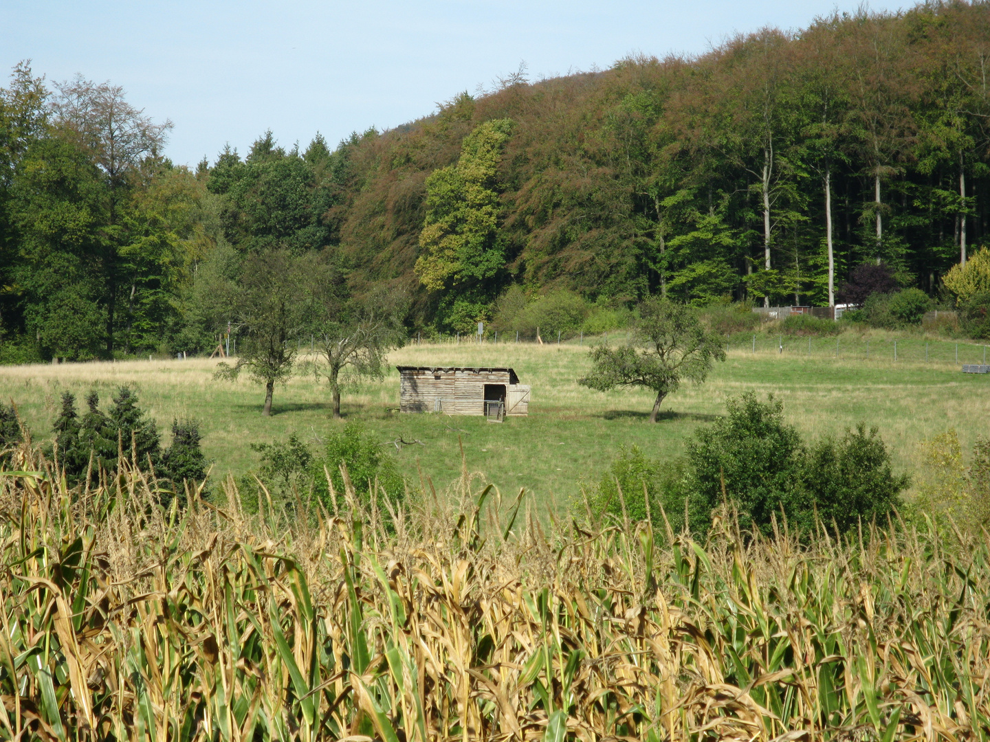 Augustdorf (Stapel)