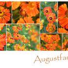 Augustfarben 20