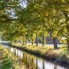 Augustfehner Kanal im Herbst