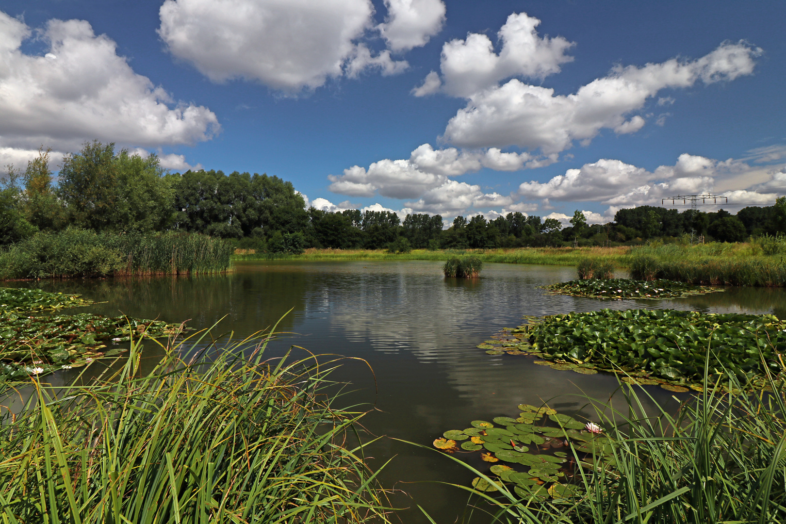 Augusthimmel überm Teich