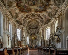 Augustinerkirche - Mainz " Gott zu Gefallen... "