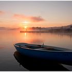 Augustmorgen am Wallersee