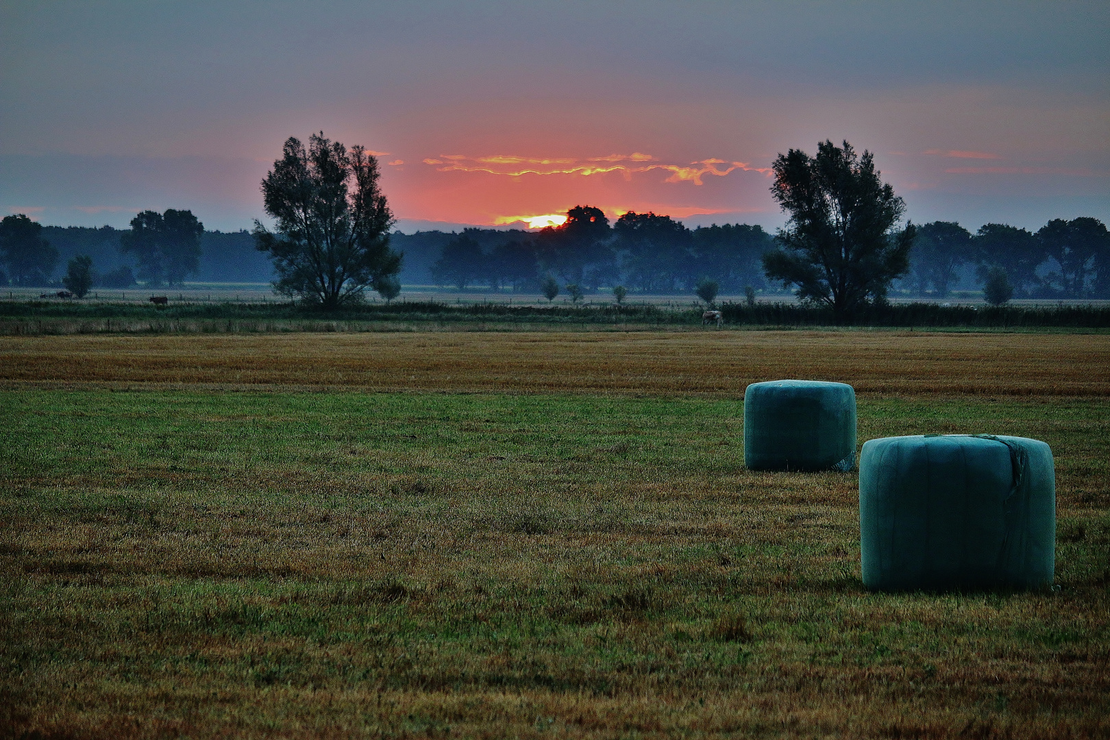 AUGUSTMORGEN in der LEWITZ