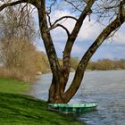 ... Aujourd'hui au bord de la Saône!!!..