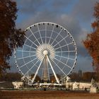 Aujourd'hui aux Tuileries - 2