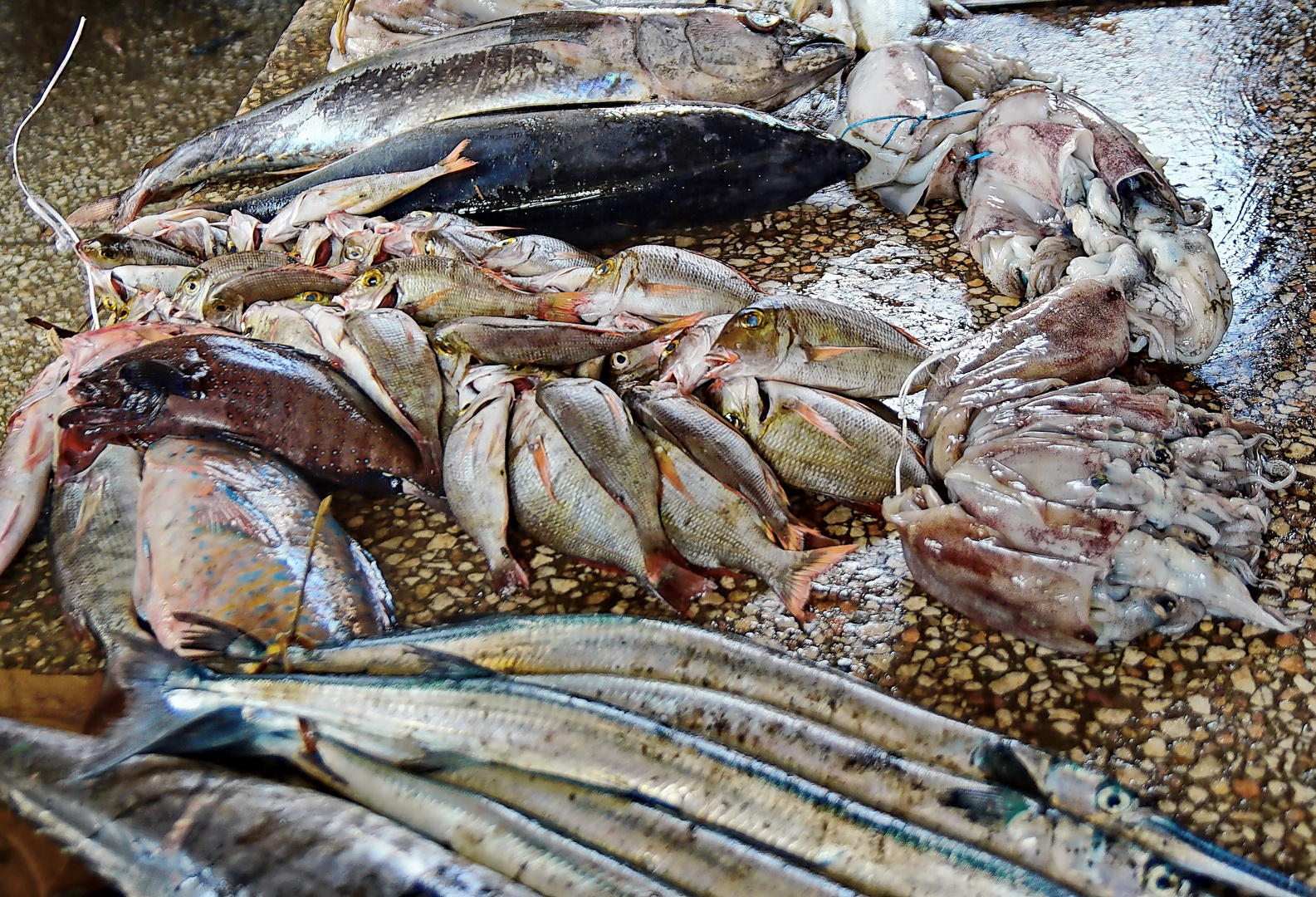 Auktionshalle der Fischer im Darajani Bazaar in Stone Town