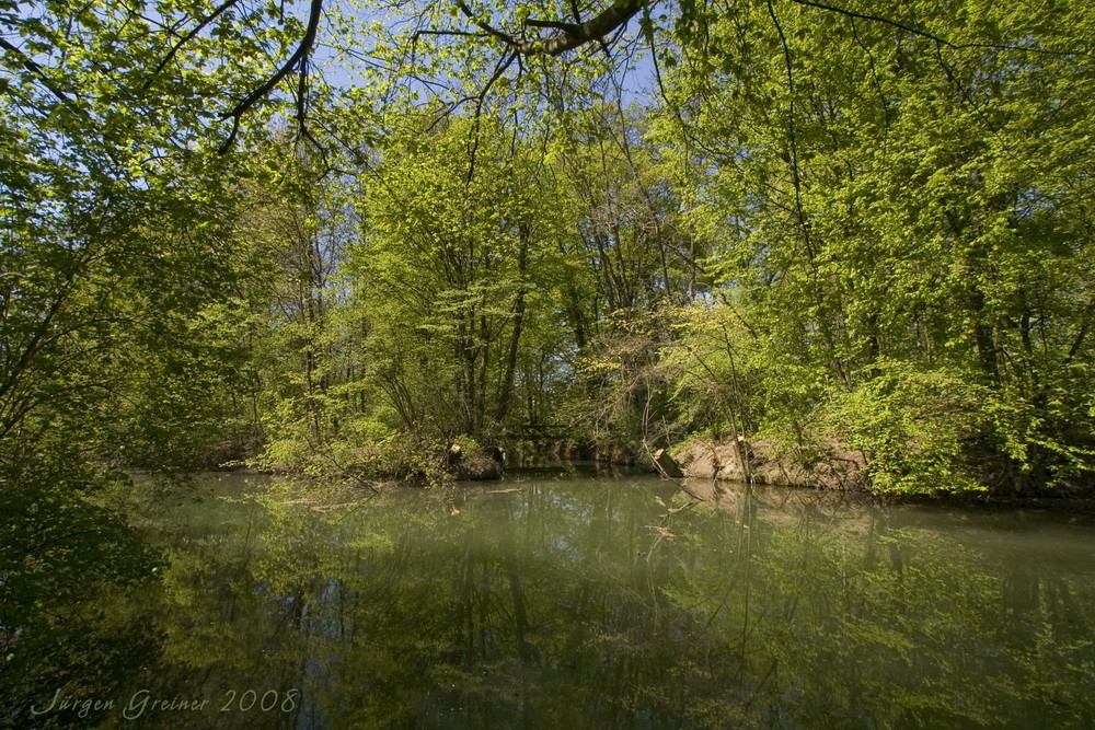 Aulandschaft