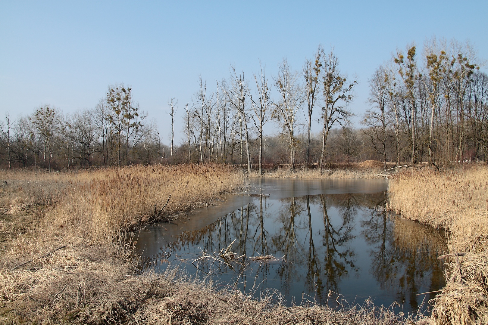 Aulandschaft...