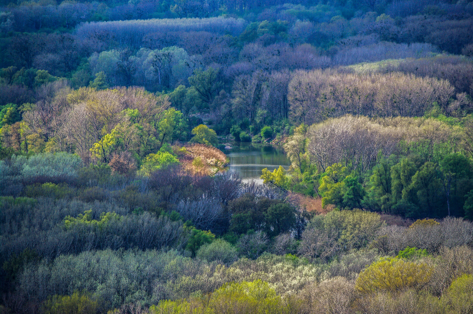 Aulandschaft im Frühjahr