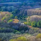 Aulandschaft im Frühjahr