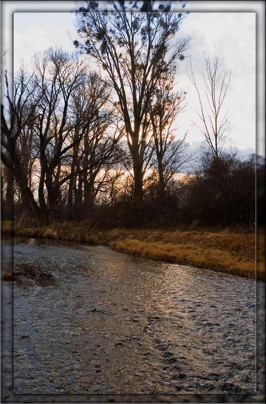 Aulandschaft mitten im Winter