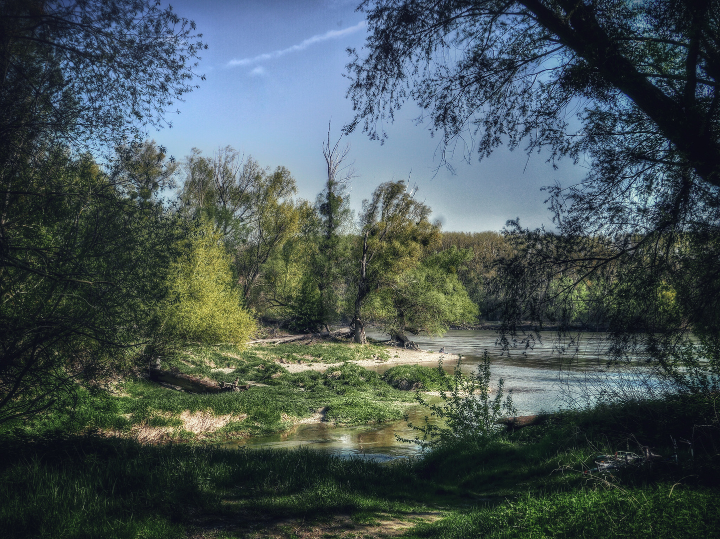 Aulandschaft - Orth an der Donau