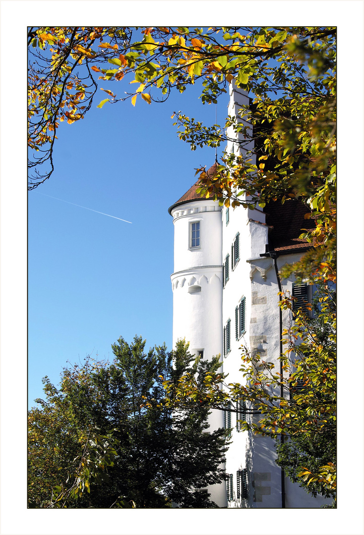 Aulendorf Hofgarten Schloß Stadtansichten Herbst