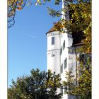 Aulendorf Hofgarten Schloß Stadtansichten Herbst