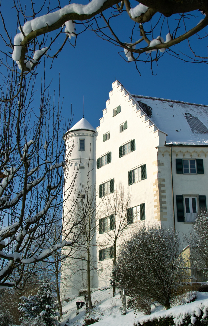 Aulendorf Schloß im Winter