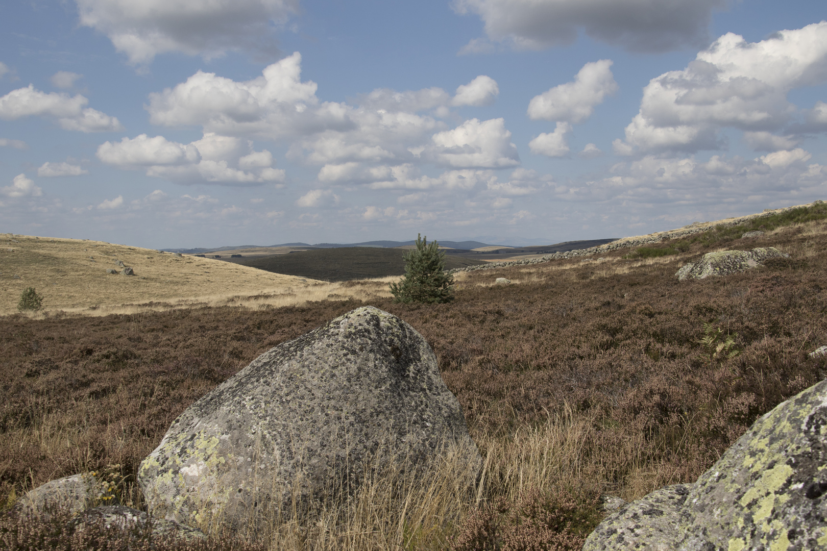 Aumont aubrac 2015